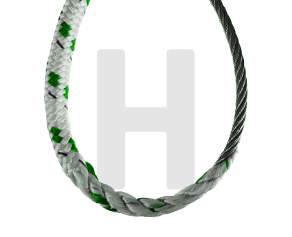 Halyards featured image