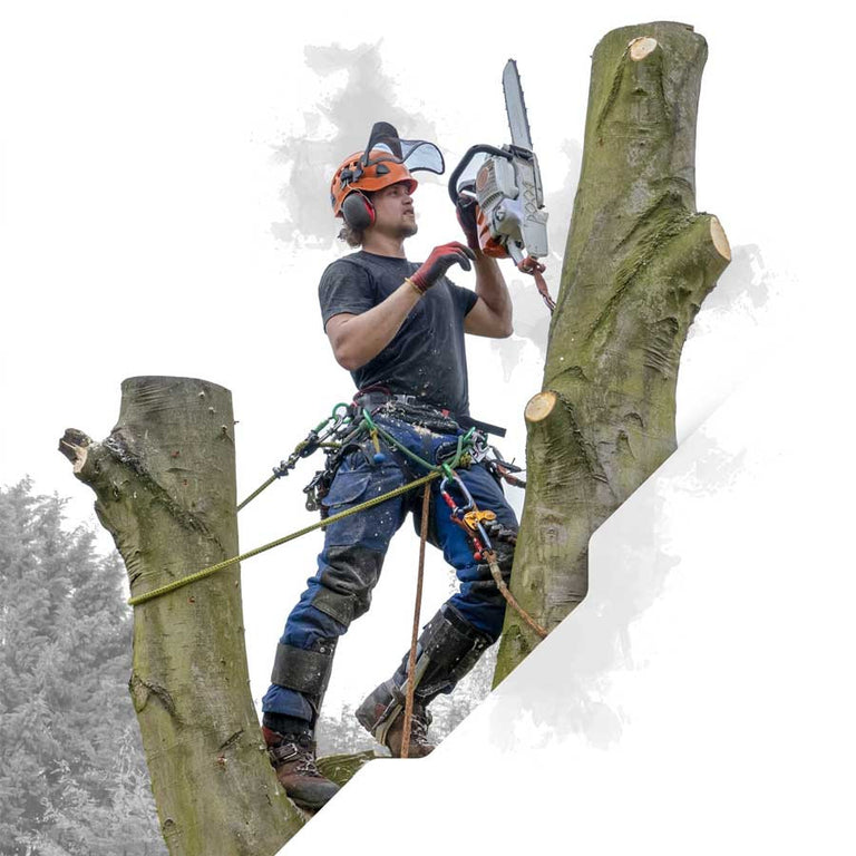 Pelican Rope Arborist-24 Climbing Line 7/16" with Spliced Eye