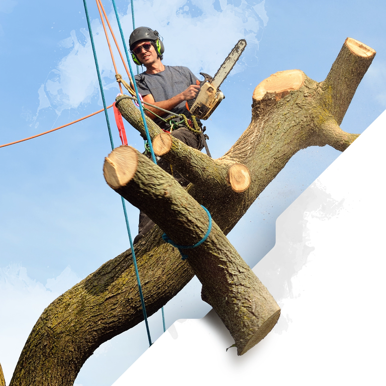 The Ape Tree Rigging Ropes - Double Braid Polyester - Breaking Strengths from 11,000 to 40,000 lbs - Professional Arborist Bull Rope with Super Low Stretch