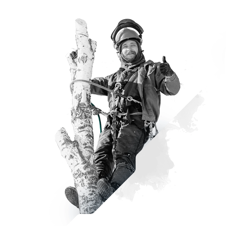 The Ape Tree Rigging Ropes - Double Braid Polyester - Breaking Strengths from 11,000 to 40,000 lbs - Professional Arborist Bull Rope with Super Low Stretch