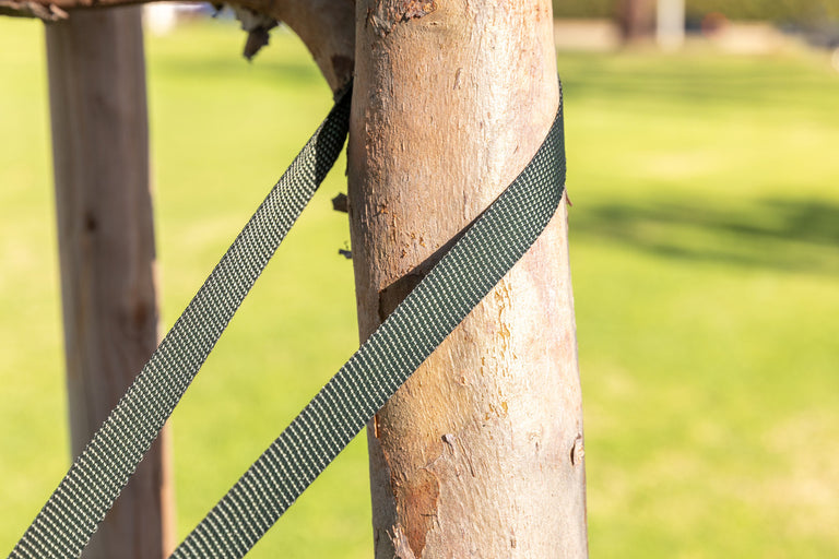 Professional Tree Anchoring System Kit - Arrow Anchors with 12ft Webbing (3-Pack)