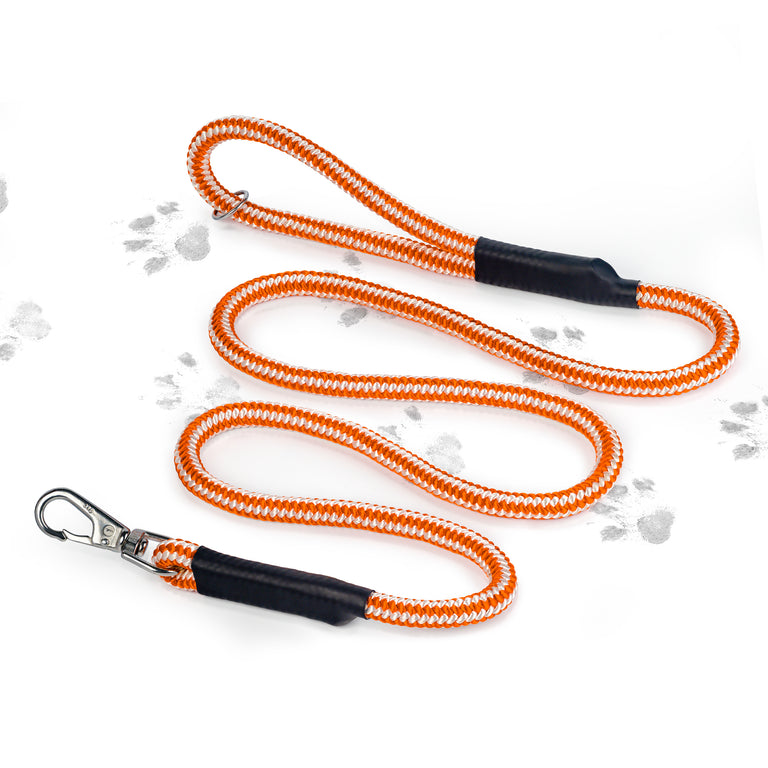 Pelican Paws Heavy-Duty Dog Leash 6ft - Premium Braided Rope with 7,000 lb Break Strength | Made in USA