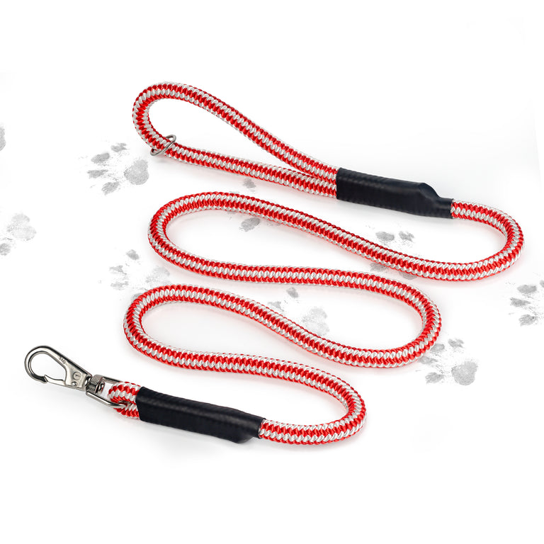 Pelican Paws Heavy-Duty Dog Leash 6ft - Premium Braided Rope with 7,000 lb Break Strength | Made in USA