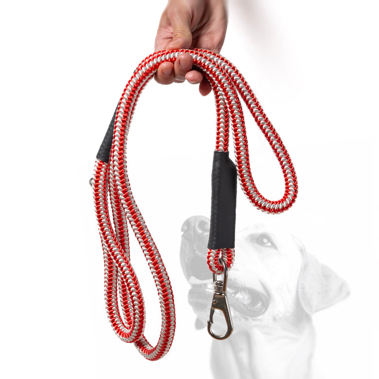 Pelican Paws Heavy-Duty Dog Leash 6ft - Premium Braided Rope with 7,000 lb Break Strength | Made in USA