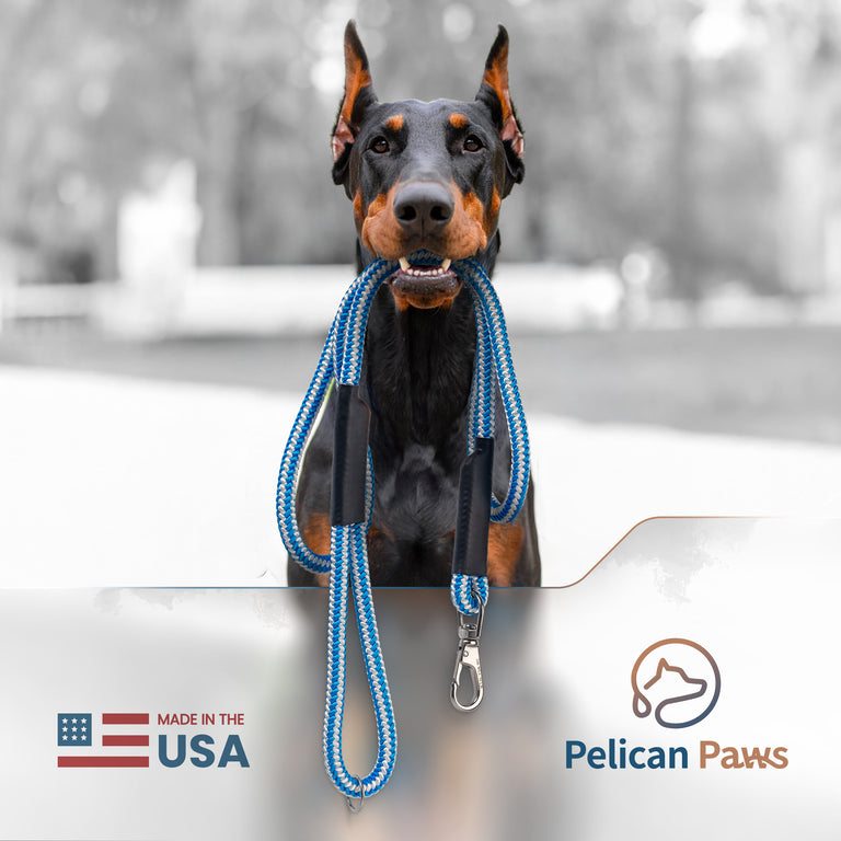 Pelican Paws Heavy-Duty Dog Leash 6ft - Premium Braided Rope with 7,000 lb Break Strength | Made in USA