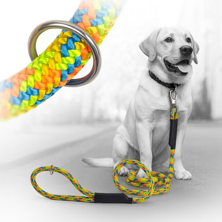 Pelican Paws Heavy-Duty Dog Leash 6ft - Premium Braided Rope with 7,000 lb Break Strength | Made in USA