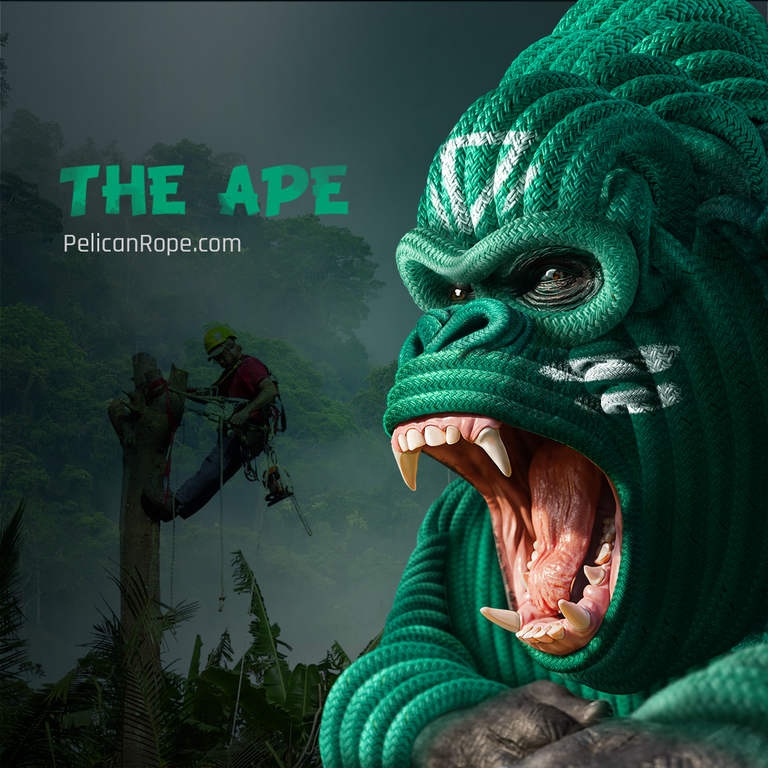 The Ape Tree Rigging Rope - 3/4" - 21,000 lbs MBS - Super Low Stretch - Professional Arborist Bull Rope