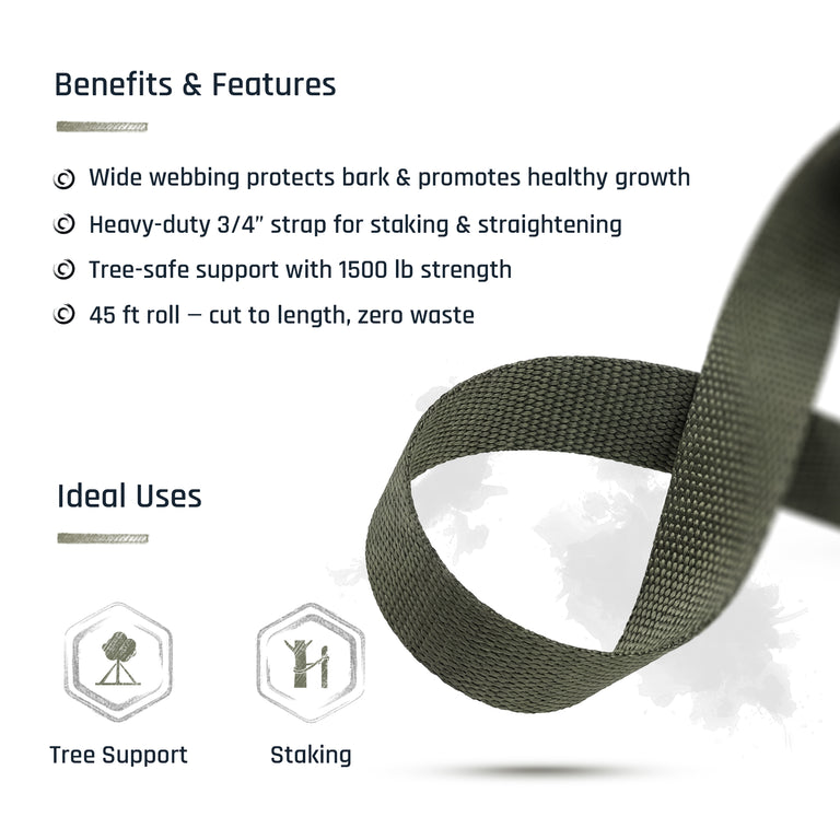 Tree-Guy Tree Tie Webbing 3/4" Olive Green - 1500lb Strength UV Resistant - 45ft to 1500ft Spools