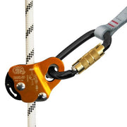 Backup Arrester