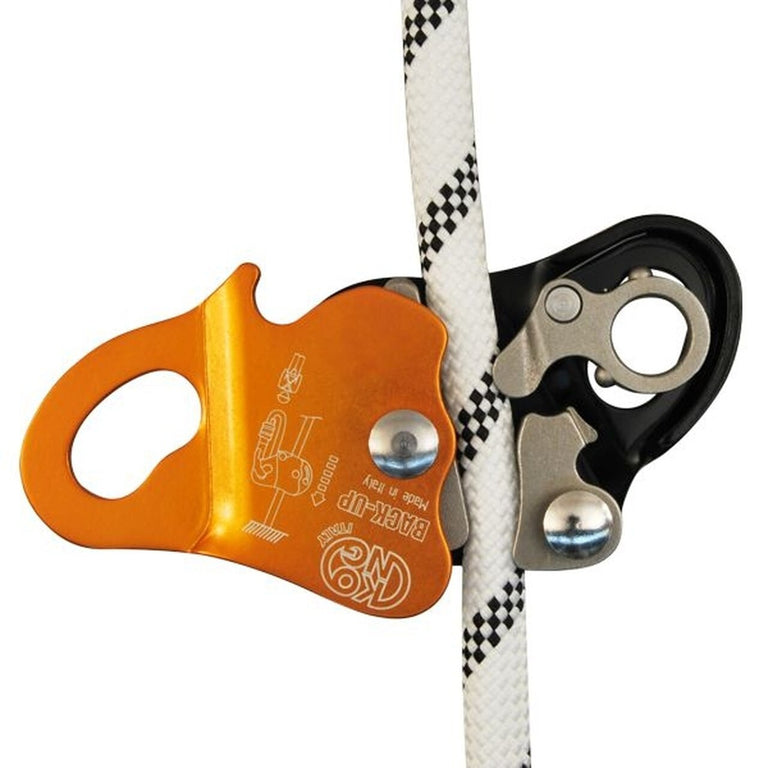 Backup Arrester