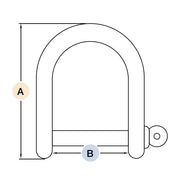 316 Stainless Steel Standard D Shackles (K-10)