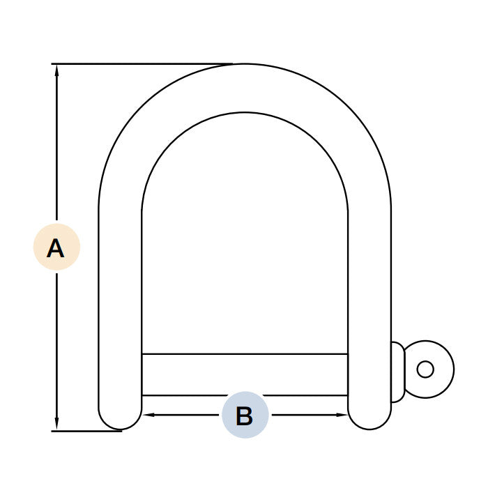 DuraBrite 316 Stainless Steel Standard D Shackles - Marine Grade Hardware (Sold in Packs)